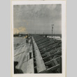 Carpenters working (ddr-densho-37-1003)