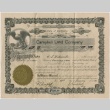 Certificate for shares of Campbell Land Company (ddr-densho-278-36)