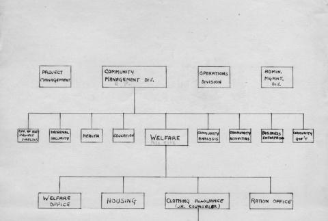Diagram of camp administration structure (ddr-densho-274-124)