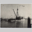 Seagulls fly around a fishing boat (ddr-densho-542-850)
