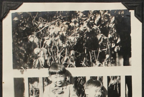 Two Nisei brothers in front of a fence (ddr-densho-259-180)