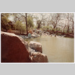 Pond (ddr-densho-377-2099)