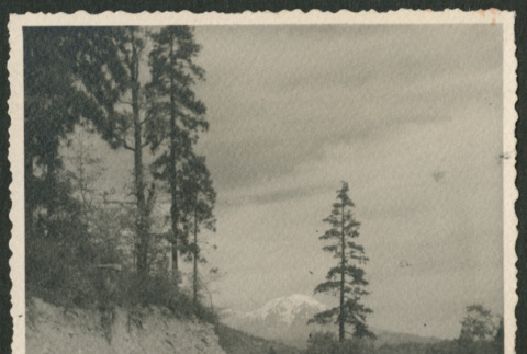 Mt. Shasta (ddr-densho-378-1038)