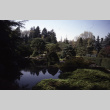 Pond in the Japanese Garden (ddr-densho-354-955)
