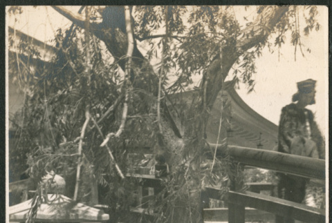 Man with three children by lantern and bridge (ddr-densho-293-199)
