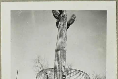 Man and cactus (ddr-densho-258-75)