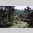 Kubota Garden (ddr-densho-354-1629)