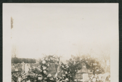 floral wreaths (ddr-densho-378-299)