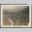 creek and woods (ddr-densho-378-599)