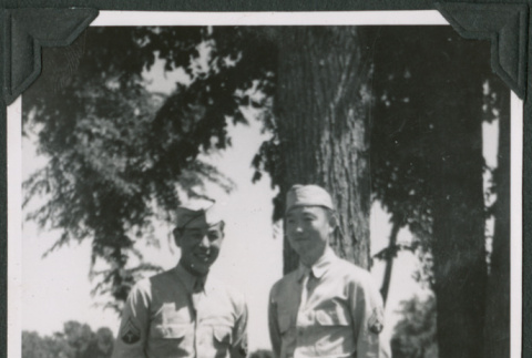 Two men standing by tree (ddr-ajah-2-551)