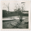 Rock garden with trees (ddr-densho-377-2155)
