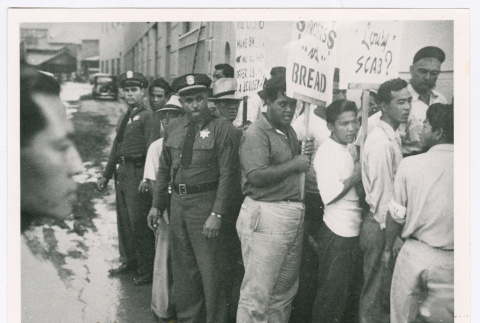 ILWU pineapple workers picketing in Iwelei (ddr-densho-1007-326)