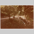 Bridge across stream (ddr-densho-377-2042)