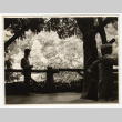 Man standing on a shady path (ddr-densho-542-816)