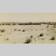 Granada (Amache) concentration camp, Colorado (ddr-densho-161-5)