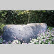Kubota Garden Stone (ddr-densho-354-1529)