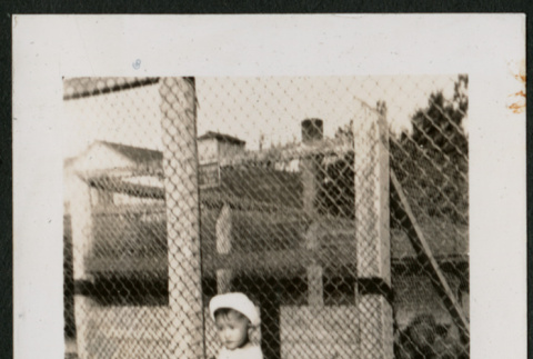 Child in front of fence (ddr-densho-359-954)