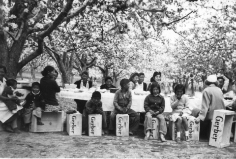 Picnic in an apple orchard (ddr-densho-35-430)