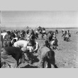 Students prepping agricultural fields (ddr-fom-1-727)