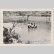 Group of people alongside river, group standing in shallows (ddr-densho-464-50)