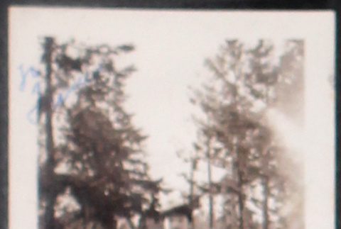 Toddler standing in yard (ddr-densho-493-184)