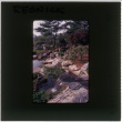 Japanese garden at the Resnick project (ddr-densho-377-1165)