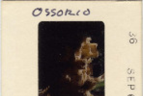 Front and back (ddr-densho-377-771-mezzanine-018d315e0b)