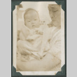 Woman holding baby (ddr-densho-355-338)