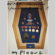Framed plaque with medals and insignia for Kim Muromoto (ddr-densho-466-426)