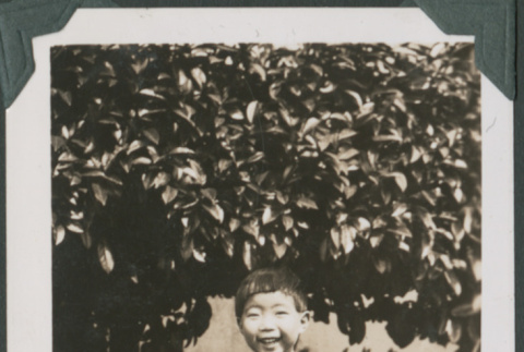 Photo of child (ddr-densho-355-369)