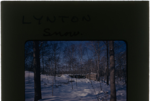 Lynton home in snow (ddr-densho-377-1230)