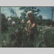 Woman standing by rose bush (ddr-densho-523-535)