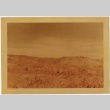 Ranch landscape (ddr-densho-325-327)