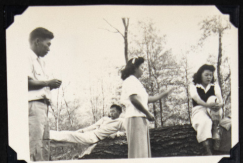 Four adults by a fallen tree (ddr-densho-542-727)