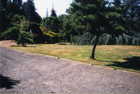 Left view of panorama from Entrance to Japanese Garden (ddr-densho-354-726)