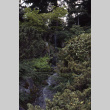 Waterfall on the Mountainside (ddr-densho-354-1419)