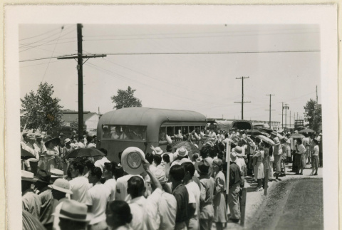 Crowd watching buses depart (ddr-densho-37-1439)
