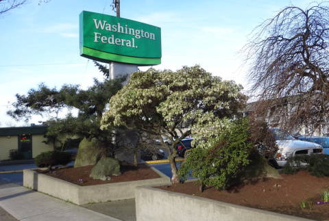 Landscaping at Washington Federal  building (ddr-densho-354-2266)