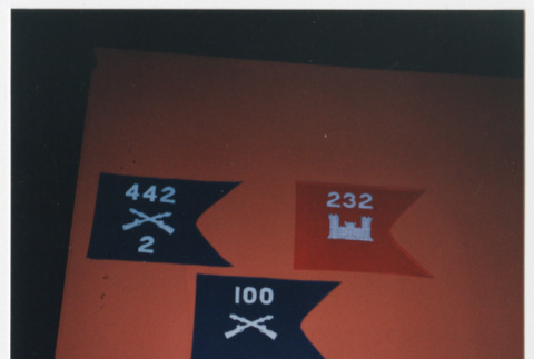 Flags in 442nd RCT exhibit at Smithsonian (ddr-densho-368-261)