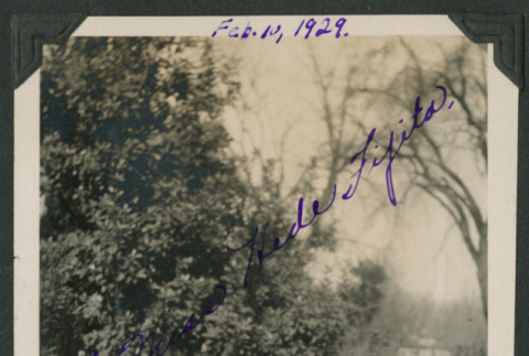 Martha poised outside (ddr-densho-378-540)