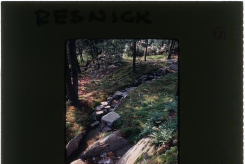 Stream at the Resnick project (ddr-densho-377-1149)