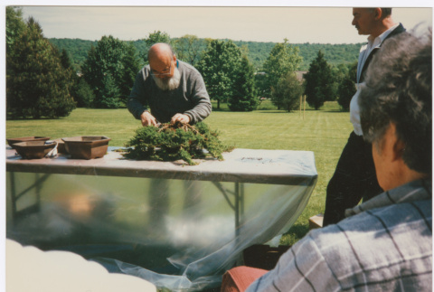 Kaneji Domoto's bonsai demonstration (ddr-densho-377-3014)