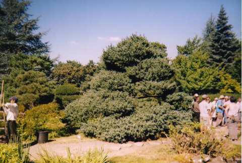 4th International Japanese Garden Assoc. (ddr-densho-354-1568)