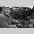 Fujitaro Kubota trimming pine at Seattle University (ddr-densho-354-2076)