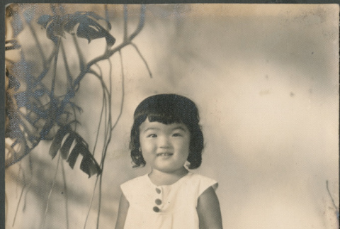 Portrait of young girl (ddr-densho-316-176)