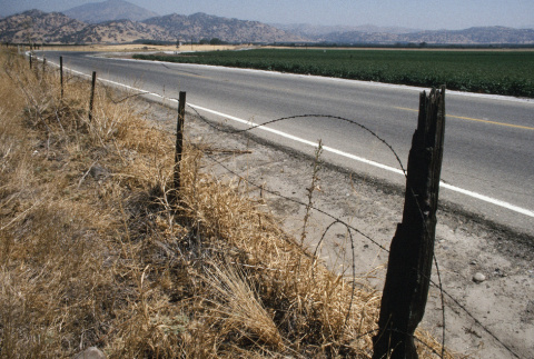 On the road from Fresno to Lake Sequoia (ddr-densho-336-1768)