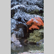 Japanese Garden waterfall (ddr-densho-354-339)