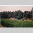 Pool (ddr-densho-377-2446)