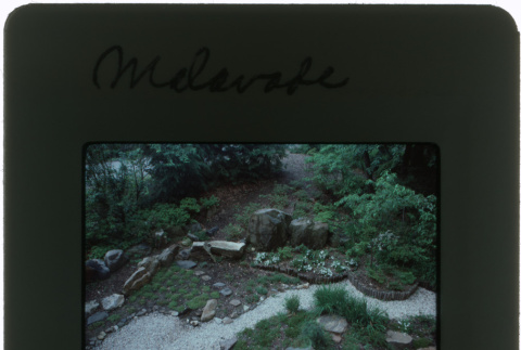 Garden walkway at the Malavode project (ddr-densho-377-486)
