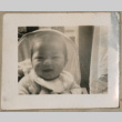 Set of four photos of baby on paper with title (ddr-densho-523-91)
